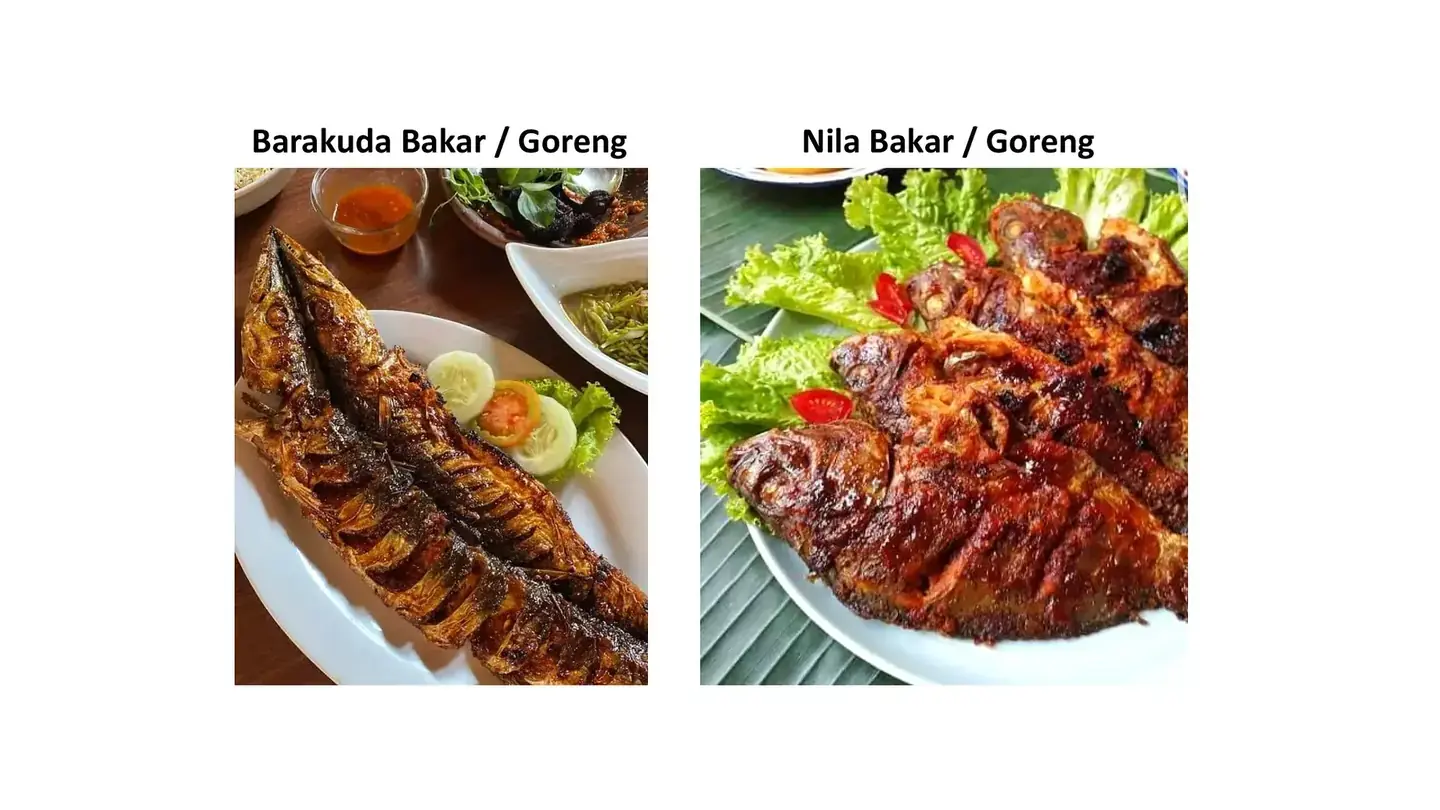 Barakuda bakar atau goreng dan nila bakar atau goreng